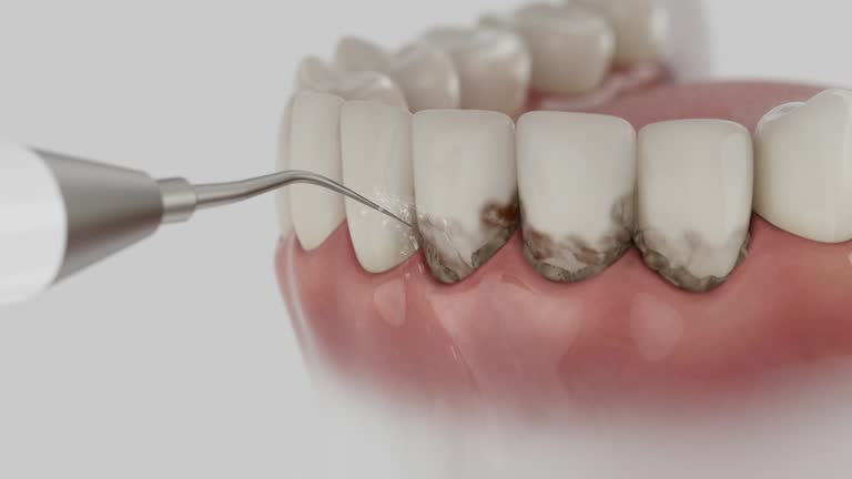 Reliable Dental contractor in Harper Woods, MI by Dentist Open Now